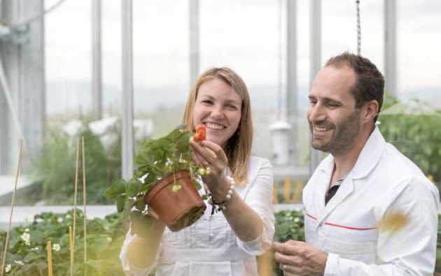 [Station R] 4,8 MCHF pour le série A d’AgroSustain et ses coatings antifongiques