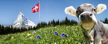 «Swiss authentic shop»: à peine né, déjà enterré?