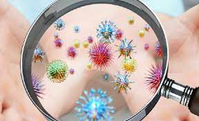 Le Covid a fait reculer le nombre des autres maladies infectieuses