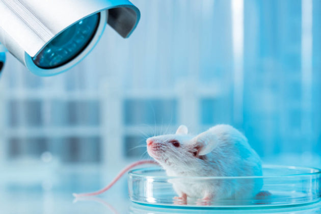 La FDA n’oblige plus les tests animaux