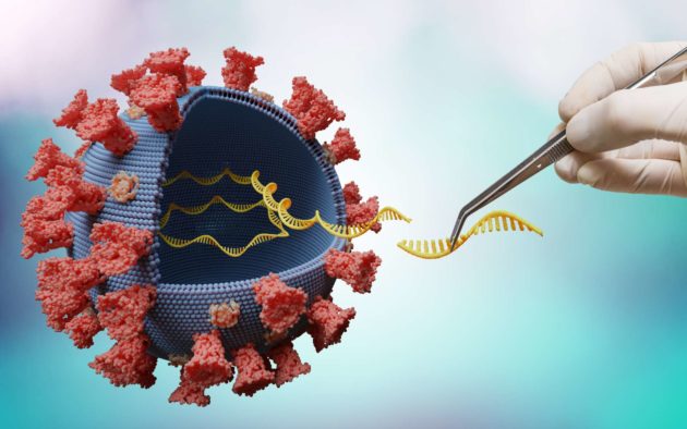 Comment l’Allemagne veut assurer son indépendance sur la production des vaccins à ARNm
