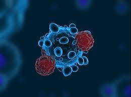 MaxiVAX : «Nous pouvons théoriquement traiter n’importe quel cancer»