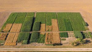 «Nous devrons nous habituer à manger différemment»