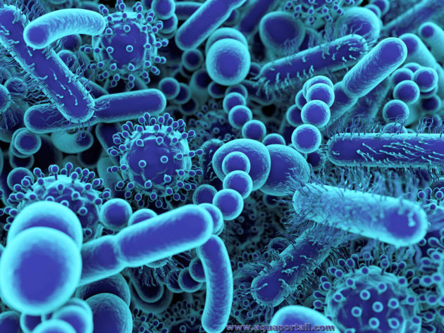 Microbiome : Nestlé Health Science mise sur la technologie de la biotech française Enterome