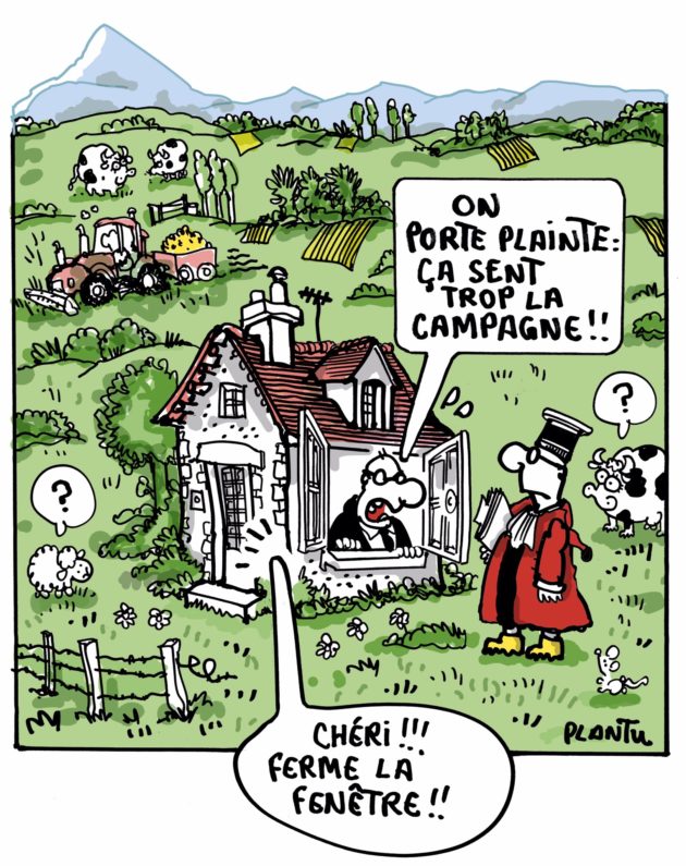 A la recherche des «champions cachés»