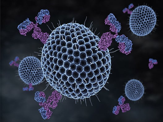 Memo Therapeutics signe un accord avec un premier partenaire pharmaceutique