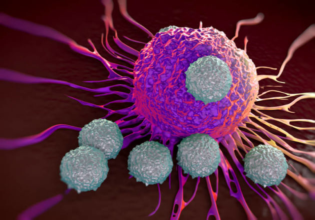 La recherche suisse sur le cancer pourrait «booster» l’immunothérapie