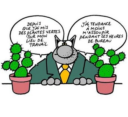[Opinion] Oui, les bureaux sont plus importants que jamais !