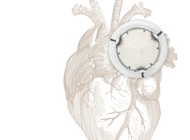 Novostia raises EUR 2.5M in Series A