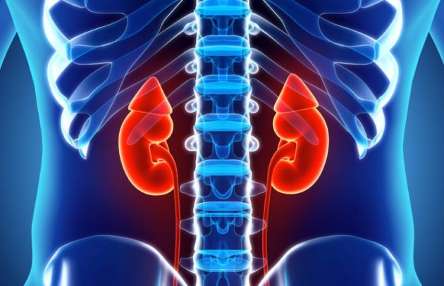 Memo Therapeutics kicks off phase II/III trials after receiving FDA Fast Track Designation
