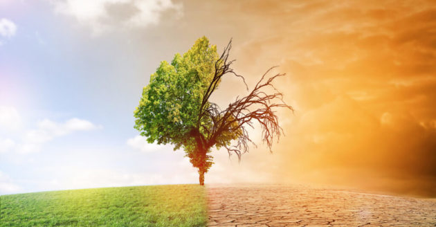 Une étude de l’EPFL sur le réchauffement climatique relance l’espoir