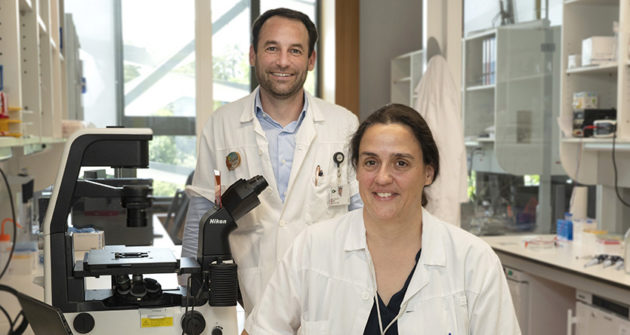 Le CHUV lance une nouvelle immunothérapie cellulaire pour soigner la leucémie myéloïde aigue chez l’enfant et l’adulte