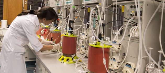 Le BioArk fête ses 20 ans, l’occasion de saluer ses pionniers