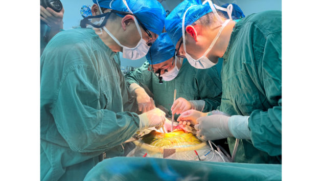 China achieves world’s first gene-edited pig liver xenotransplantation