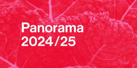 Panorama 2024/25 de l’académie suisse des sciences techniques– Une année d’innovation, de dialogue et de réflexion