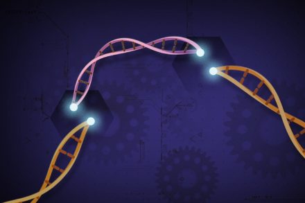 Relance de la bataille juridique autour des brevets CRISPR aux États-Unis
