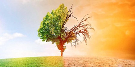 Climat : l’Union européenne et la Chine appelées à reprendre le flambeau du leadership mondial