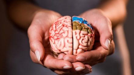 Le côté atteint dans la maladie de Parkinson, un indicateur de l’évolution des symptômes