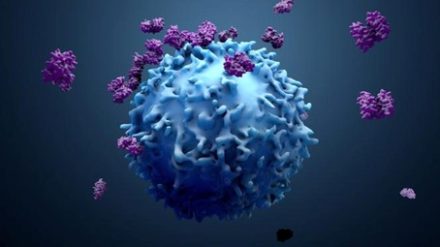 Des CAR-T produits directement dans le corps : une révolution en oncologie