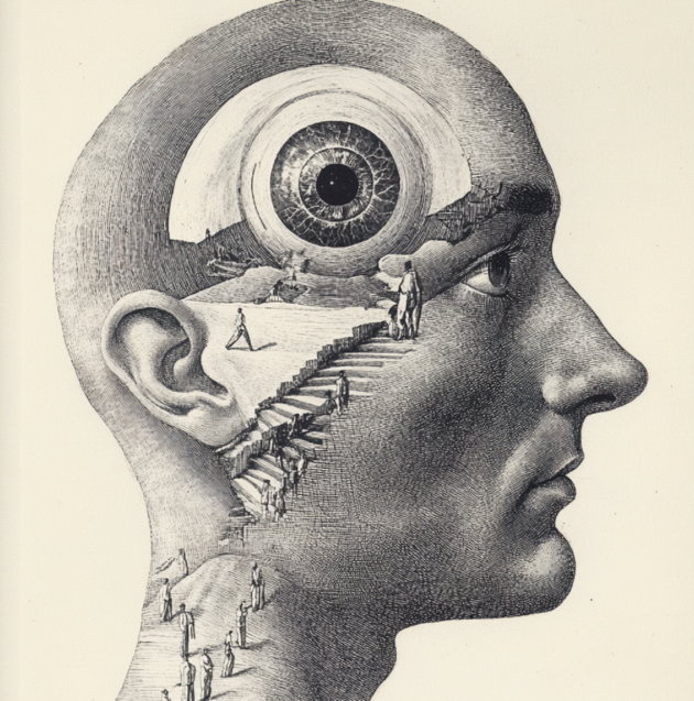 Éditorial : Perception ou perspective ? L’épreuve de la discussion
