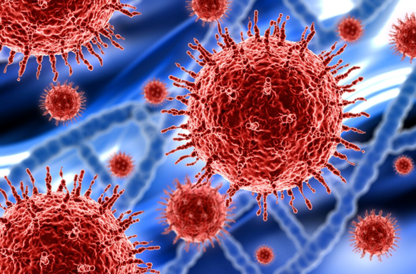 Ingénierie des lymphocytes B : vers de nouvelles thérapies micro ciblées