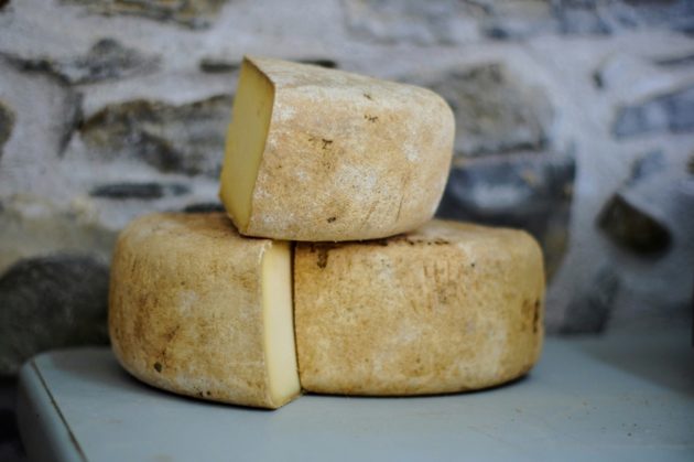 Fromages suisses au lait cru : un risque potentiel lié à la grippe aviaire