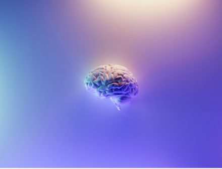 SLA : une cible auto-immune enfin identifiée, la protéine C9orf72