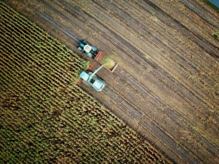 Ecorobotix obtient 150 M $ pour généraliser sa technologie « Plant-by-Plant™ » et dévoile une nouvelle innovation à Agritechnica 2025