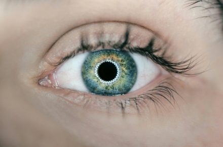 Une puce implantable redonne la lecture à des patients atteints de Dégénérescence maculaire liée à l’âge (DMLA)