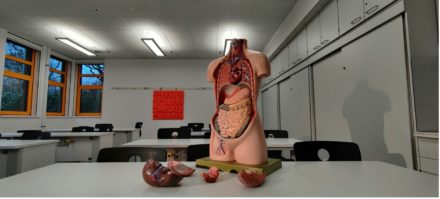 Des implants bioélectroniques souples pour une surveillance organique à long terme