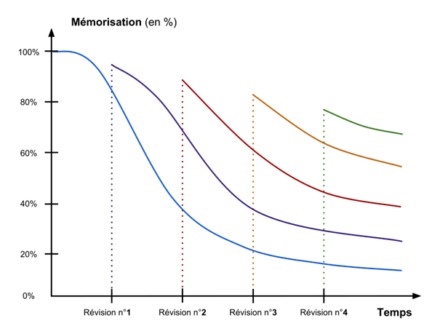 A méditer : la répétition comme stratégie : ce que la courbe d’Ebbinghaus nous dit sur l’apprentissage et l’action