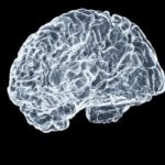 Sorry! Image not available at this time