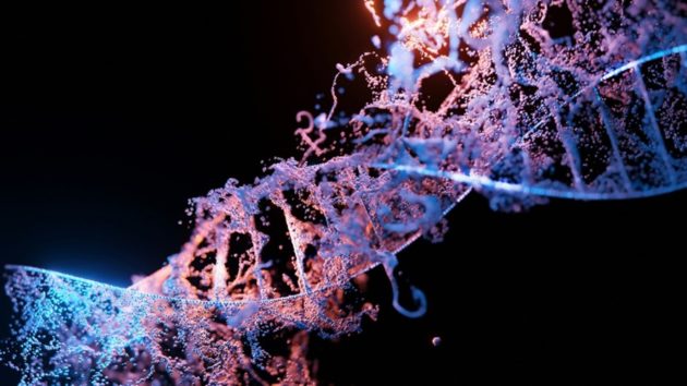 AlphaGenome : l’IA de DeepMind s’attaque aux mystères de l’ADN
