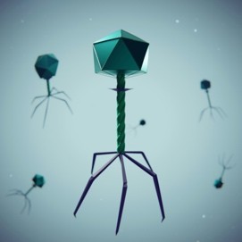 Antibiorésistance : à Lausanne, les bactériophages émergent comme une alternative prometteuse