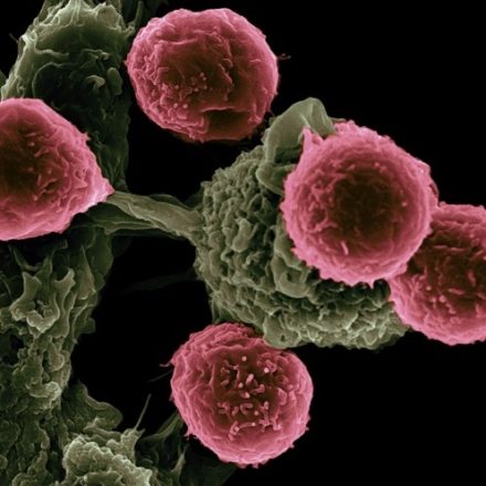 Cancer : une équipe de l’UNIGE développe des médicaments « intelligents » révolutionnaires