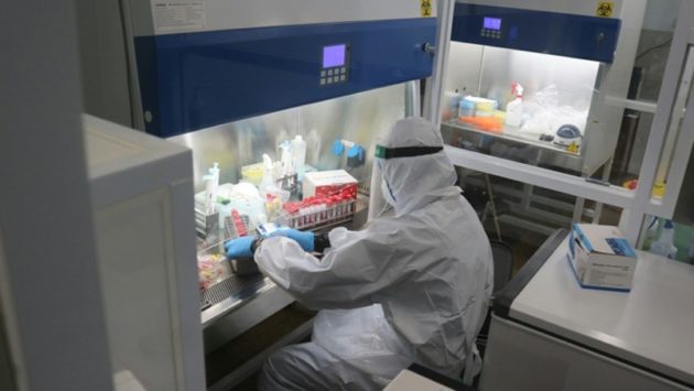 Hantavirus : l’unité de pointe des HUG en première ligne face aux virus émergents