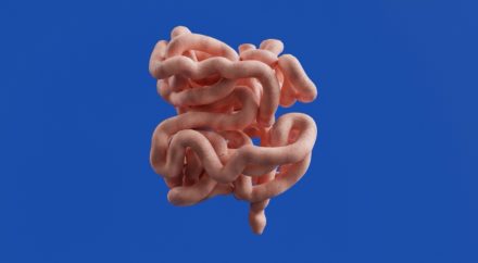 Quand l’intestin influence le sommeil et l’appétit
