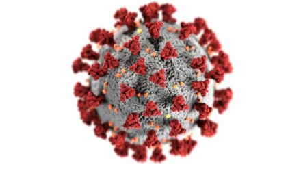 L’intelligence artificielle au service d’un vaccin universel contre les coronavirus