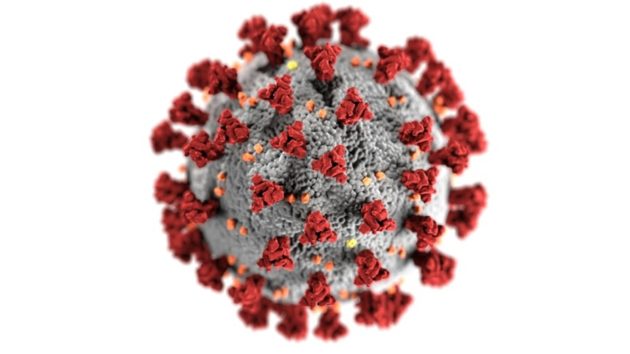 L’intelligence artificielle au service d’un vaccin universel contre les coronavirus