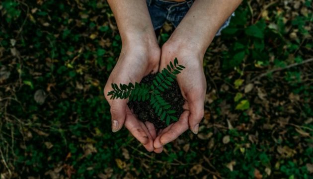 UniverCité : Resilio rachète Greenoco pour accélérer le numérique durable