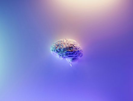 Un test sanguin pourrait aider à anticiper le risque de déclin cognitif