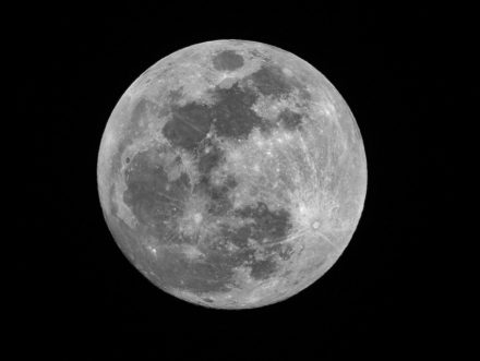 Des microbes terrestres pourraient survivre dans l’ombre de la Lune