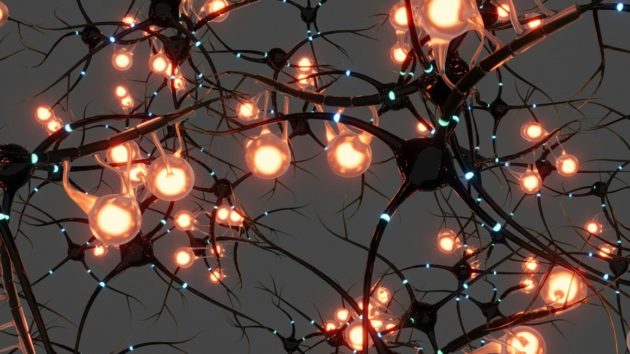 Qui se ressemble s’assemble… aussi dans le cerveau ?