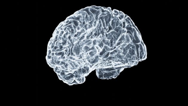 Le cerveau alternerait toutes les 200 millisecondes entre deux modes de pensée