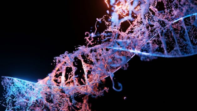 L’EPFL contribue à décrypter les liaisons secrètes entre protéines et ADN