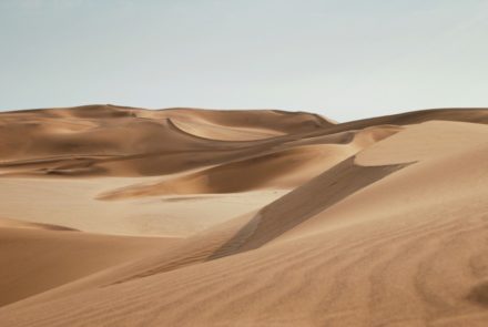 L’Empa explore un « sable vivant » pour stabiliser les sols désertiques