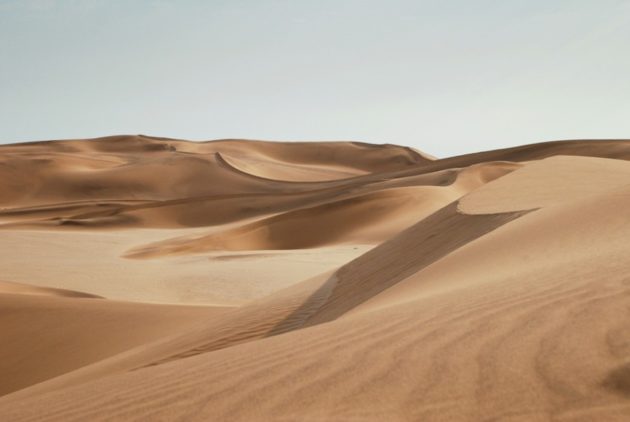 L’Empa explore un « sable vivant » pour stabiliser les sols désertiques