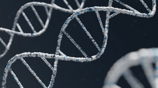 Une méthode plus douce pour découvrir de nouveaux médicaments
