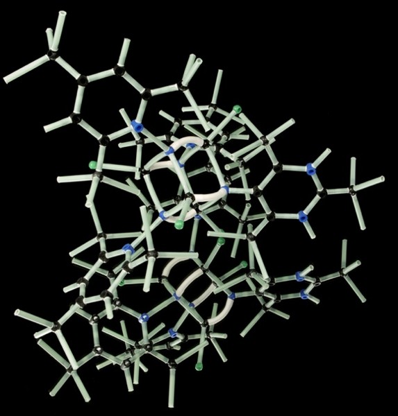 Une enzyme « transformable » ouvre de nouvelles pistes contre les maladies rares et le cancer