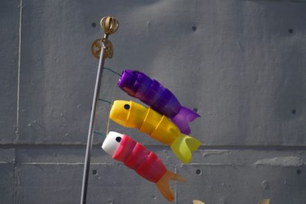ScaFi, le robot-poisson de l’EPFL qui change d’échelle sans perdre sa nage